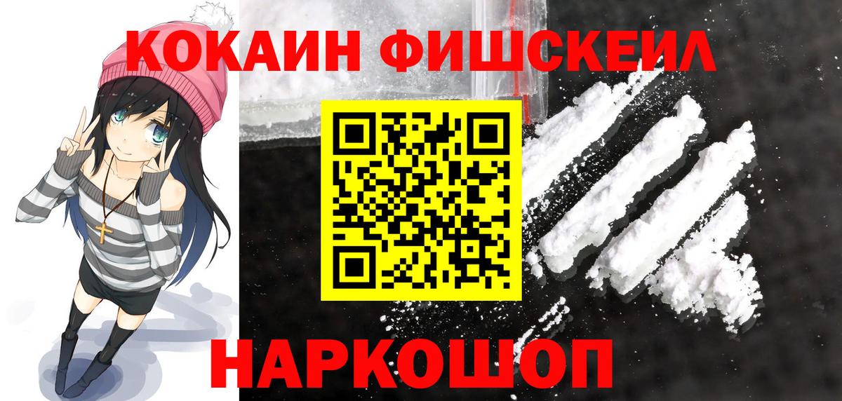 COCAIN FishScale  где купить наркоту  Каменск-Шахтинский  Вход с VPN  Кокаин Fish Scale 