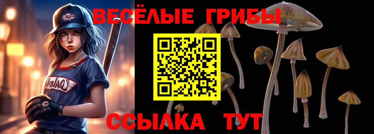 Псилоцибиновые грибы Psilocybine cubensis  наркотики  Каменск-Шахтинский  Вход с VPN 